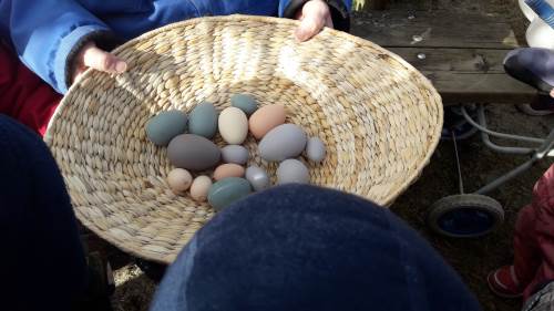 Vi fant heldigvis alle eggene som påskeharen hadde gjemt ute på lekeplassen! Nå kunne vi endelig levere dem tilbake til lille Fru Høne.